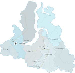 Карты городов Ямало-Ненецкого автономного округа