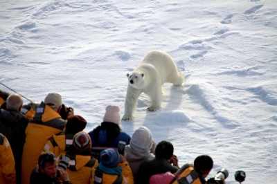 Tourism in the Russian Arctic is promising
